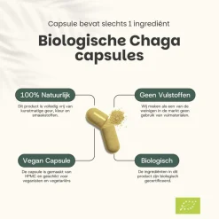Cupplement 20% korting | Chaga Capsules 500 mg Biologisch Best