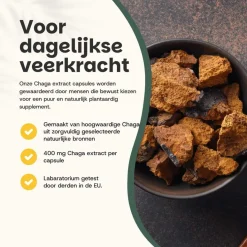 Cupplement 20% korting | Chaga Extract Capsules 400mg Outlet