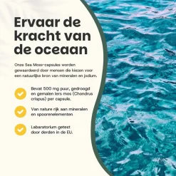Cupplement 30% korting | Combideal Sea Moss Capsules 500 mg Biologisch