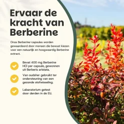 Cupplement 45% korting | Multipack Berberine Extract Capsules 400 mg Hot