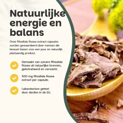 Cupplement 20% korting | Rhodiola Rosea Capsules 500 mg New