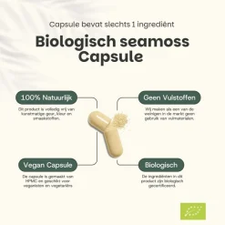 Cupplement 20% korting | Sea Moss Capsules 500 mg Biologisch Best