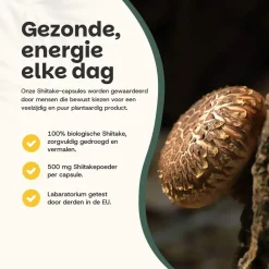 Cupplement 20% korting | Shiitake Capsules 500 mg Biologisch Sale