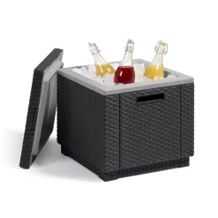 Allibert 40L Ice Cube Best