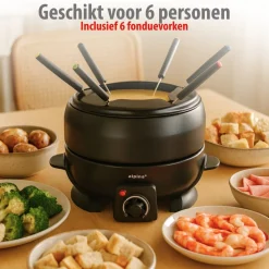 Alpina Fonduepan (elektrisch) MEAFO3760/001 Sale