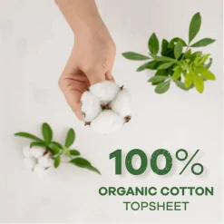 Always Dailies Cotton Large Inlegkruisjes Hot