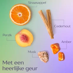 Andrelon Andrélon Iedere Dag Shampoo Outlet