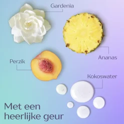 Andrelon Andrélon 2-in-1 Shampoo en Conditioner Discount