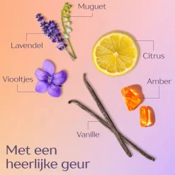 Andrelon Andrélon Oil & Care Conditioner Clearance