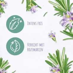 Andrelon Andrélon Pro Nature Rosemary Refresh Shampoo Outlet