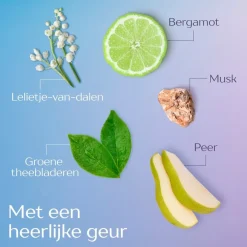 Andrelon Andrélon Scalp Care Zuiverende Shampoo Scrub Online