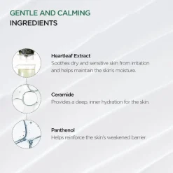 ANUA Heartleaf 70% Intense Calming Cream Best