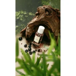 Arts & Odeurs Souffle Tropical Extrait de Parfum Discount