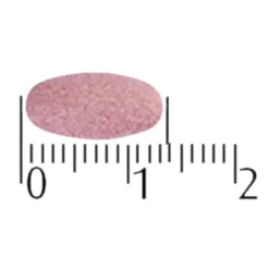 A.Vogel Echinaforce Sterk** + Vitamine C Kauwtabletten Discount