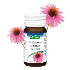 A.Vogel Echinaforce Tabletten Hot
