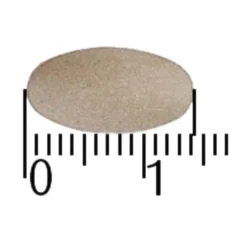 A.Vogel Overgang Famosan Salvia Sterk** Tabletten Sale