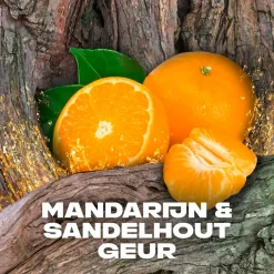 Axe Africa 3-In-1 Douchegel en Shampoo Outlet