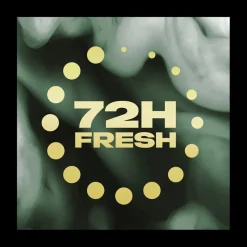 Axe Fine Fragrance Pure Coconut Deodorant Bodyspray New