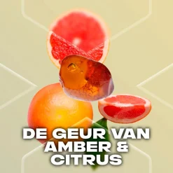 Axe Gold Temptation Deodorant & Bodyspray Best