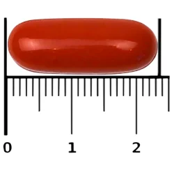 Bional Prostavit Forte** Capsules Discount