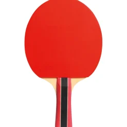 Cornilleau Sport 300 Indoor Tafeltennis Bat Best