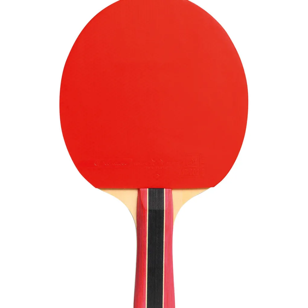 Cornilleau Sport 300 Indoor Tafeltennis Bat Best