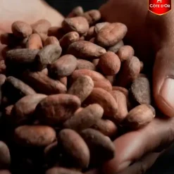 Cote D'Or Côte d'Or Chocolade Mini Bouchée Pralines Clearance