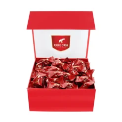 Cote D'Or Côte d'Or Mini Bouchée luxe rode magneetdoos Clearance