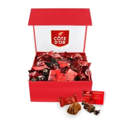 Cote D'Or Côte d'Or The Best Of – Luxe Magneetdoos met Chokotoff, Mini Bouchée & Mignonnette Melk