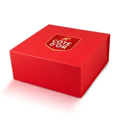 Cote D'Or Côte d'Or The Best Of – Luxe Magneetdoos met Chokotoff, Mini Bouchée & Mignonnette Melk