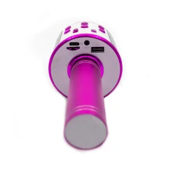 Denver KMS20P Kinder karaoke microfoon Online