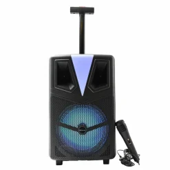 Denver TSP307 Bluetooth Partyspeaker met LED verlichting Online
