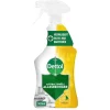 Dettol Power & Fresh Citrus Allesreiniger Spray Discount