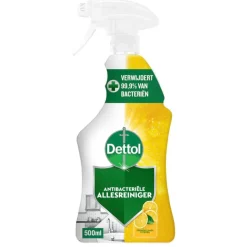 Dettol Power & Fresh Citrus Allesreiniger Spray Discount