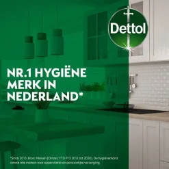 Dettol Power & Fresh Citrus Allesreiniger Outlet