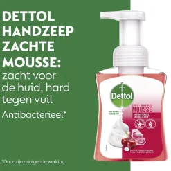 Dettol Touch of Foam Rose & Cherry in Bloom Handzeep Discount