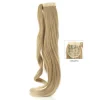 Di Biase Ponytail Straight 70cm Online