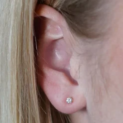 Di Lusso 14K Gouden Oorstekers – 0.25 ct Lab Grown Diamant Outlet