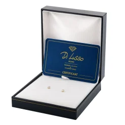 Di Lusso 14K Gouden Oorstekers – 0.25 ct Lab Grown Diamant Outlet