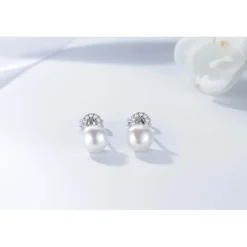 Di Lusso Oorstekers Plaisir Discount