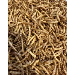 Famiflora meelwormen vogelvoer Online