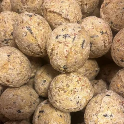 Famiflora mezenbollen zonder net Best