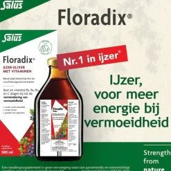 Floradix IJzer-Elixer Hot