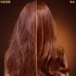 Loving Blends Garnier Honing Goud Herstellende Shampoo Clearance