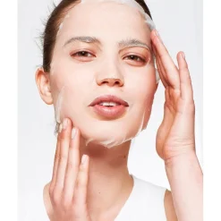 Garnier Skin Naturals Garnier SkinActive Hydra Bomb Tissuemasker Best