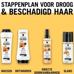 Gliss Total Repair Brillant Tonic Hot