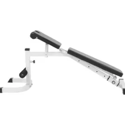 Gorilla Sports fitnessbank met Curlrack Best