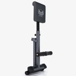 Gorilla Sports Hyperextensie Bank