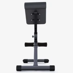 Gorilla Sports Hyperextensie Bank