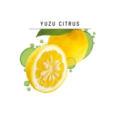 Guhl Fris & Luchtig Anti-Vet Shampoo Sale